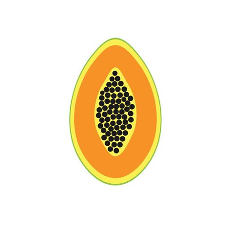 Vector papaya fruit 15365122 Vector Art at Vecteezy