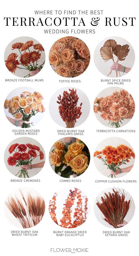 Terracotta and rust wedding flower collection diy wedding flowers – Artofit