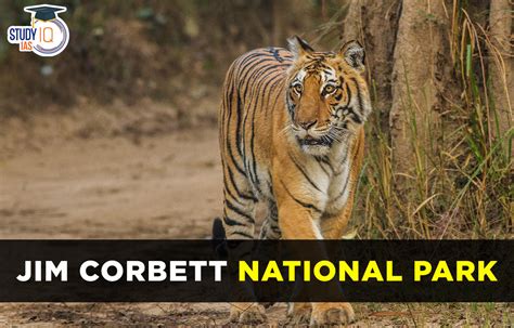 Jim Corbett National Park, History, Location and Related Facts