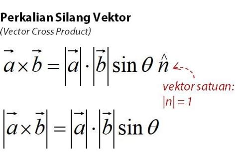 Perkalian Vektor Matematika Sma - Vektor Matematika Pengertian Rumus ...