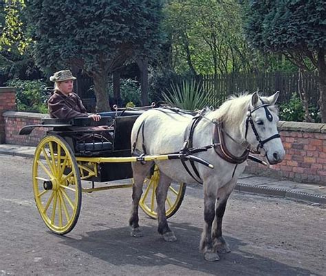 "Dogcart at Blists Hill, Shropshire" by John Ware at PicturesofEngland.com