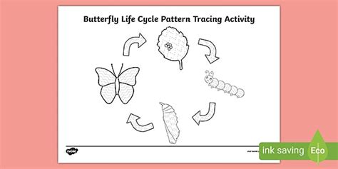 Life Cycle of a Butterfly Pattern Tracing Activity - Twinkl