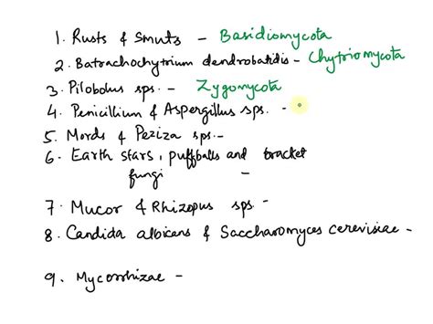 Match the examples with the appropriate phylum: Enter the correct letter in each field below: A ...