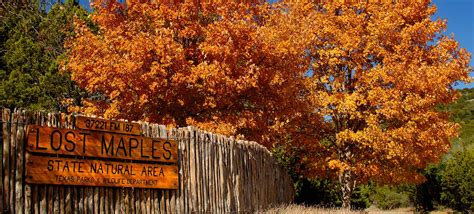 Get Lost at Lost Maples State Natural Area