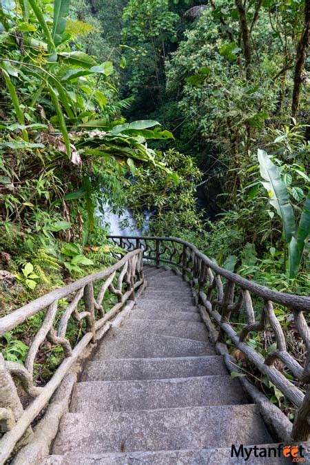 La Paz Waterfall Gardens: Waterfalls, Rainforest, Animals