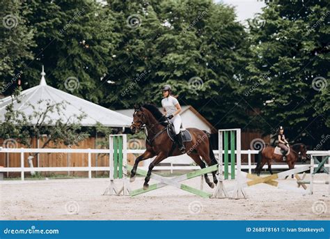 Overcoming Obstacles. Beautiful Graceful Horse Jumping Over the Barrier ...