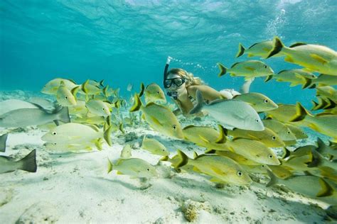 Belize Snorkeling