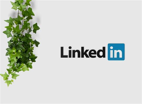 31 LinkedIn Profile Tips for Job Seekers - Prepory