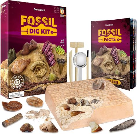 Amazon.com: Mega Fossil Dig Kit - Educational STEM Science Toys for Kids Ages 4-12 Year Old ...