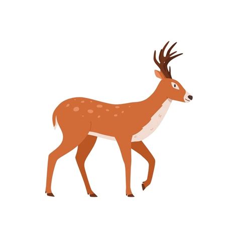 2+ Thousand Cartoon Deer Walking Royalty-Free Images, Stock Photos ...