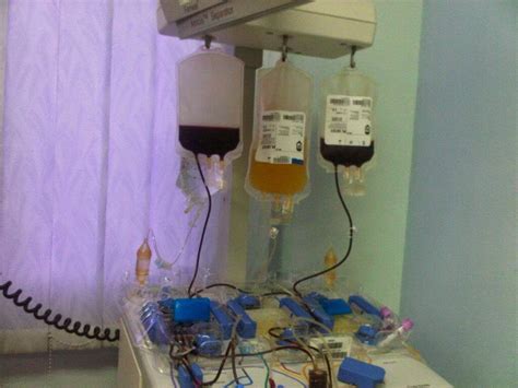 Kempen Derma Darah Kepada Rakyat Malaysia: Mesin Apheresis Plasma dan ...