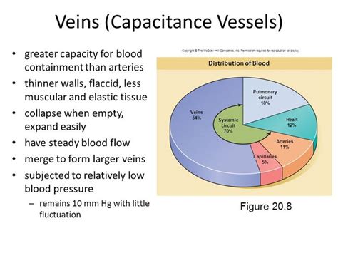 Pin on Systems: Cardiovascular