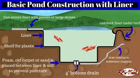 Building Your Koi Pond: Learn the Basics to Get Started - Koi-Care