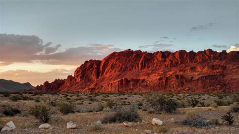 Red mountain, Nevada, plants, desert HD wallpaper | Wallpaper Flare