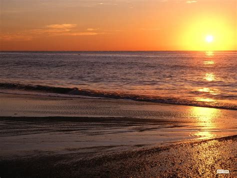 Beach Sunrise Wallpaper - WallpaperSafari