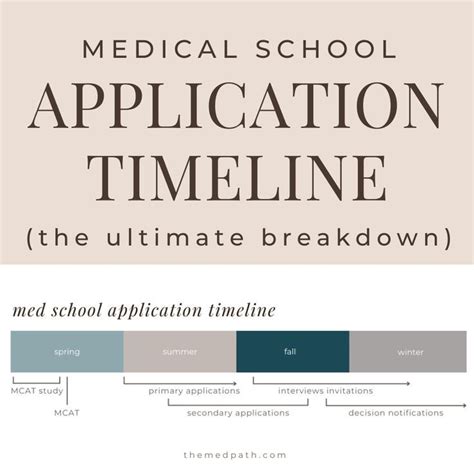 The Med School Application Timeline: A Breakdown | School application, Med school motivation ...