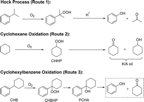 Cumene process to produce phenol (Route 1), cyclohexane oxidation to ...