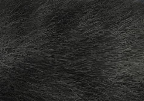 Fur - Gorilla | Joe | Flickr