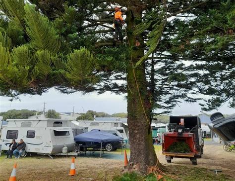 Dangerous falling branches prompt camper complaints at Warrnambool caravan park | The Standard ...