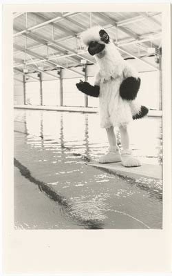 "UNF Mascot On Diving Board" by University of North Florida