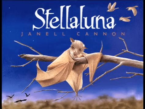 Stellaluna | Living Books Wiki | FANDOM powered by Wikia