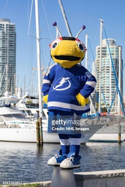 Tampa Bay Lightning Mascot Photos and Premium High Res Pictures - Getty ...