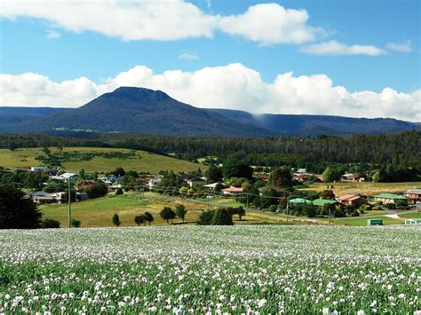 Visit Northern Tasmania | Deloraine