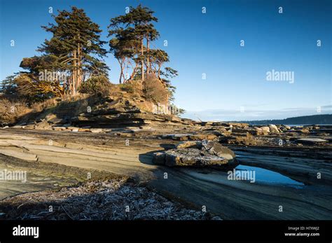 Beach on Hornby Island; Hornby Island, British Columbia, Canada Stock ...