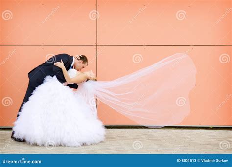 Kiss of bride and groom stock image. Image of cute, dress - 8001513