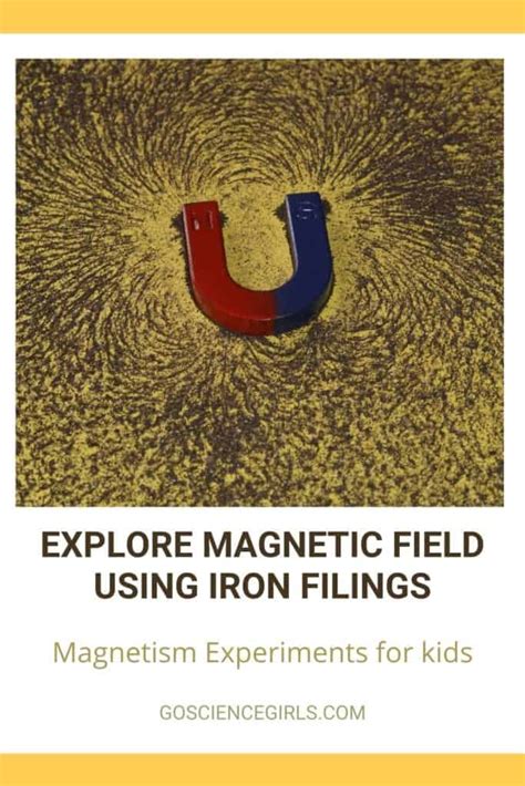 How to Use Iron Filings to See Magnetic Field