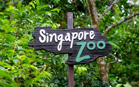 Book Singapore Zoo Tickets ‘2021’ | [COVID-19 Updated]