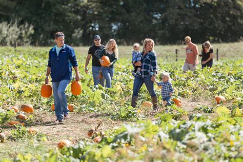 Homestead Gardens' 36th Annual Fall Festival - Homestead Gardens, Inc.