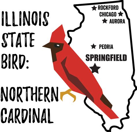 Illinois State Bird - Bird Watching Academy