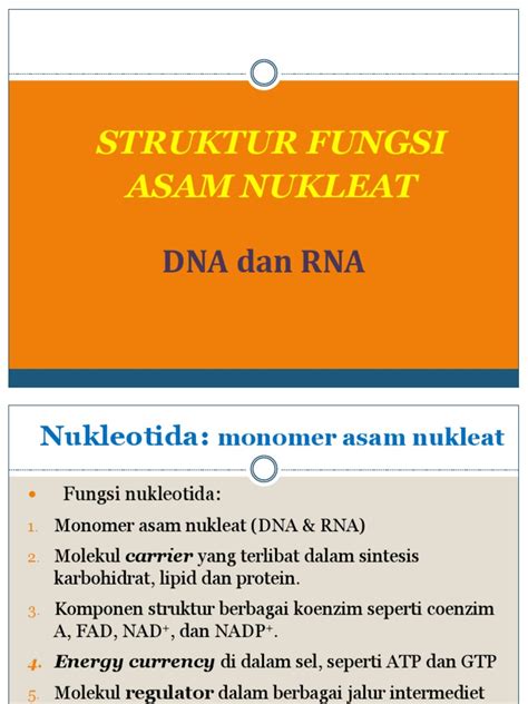 4. Asam Nukleat DNA & RNA