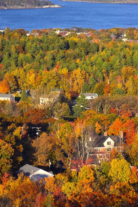 Fall foliage colors in Bar Harbor | Fall foliage tour, Fall foliage, Dog friendly vacation