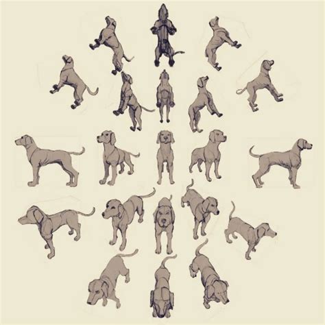 a bunch of dogs that are standing in the shape of a person on a skateboard