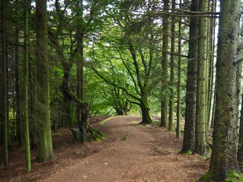 Callander Crags, Trossachs | Hiking Scotland | Just Muddling Through Life