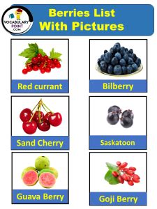 List of Berries (Berries Names With Pictures) - Vocabulary Point