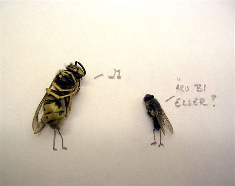 Dead Flies Art (15 pics)