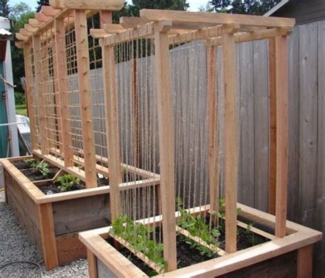Homemade Trellis Ideas | Building raised garden beds, Rasied garden ...