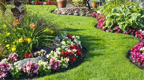 Beautiful Flower Beds Pictures | Best Flower Site