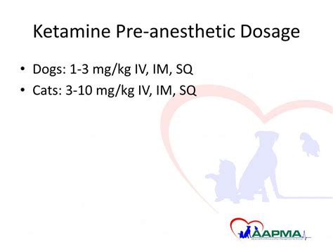 PPT - Veterinary Anesthesia Severna Park Veterinary Hospital Aug. 6 ...