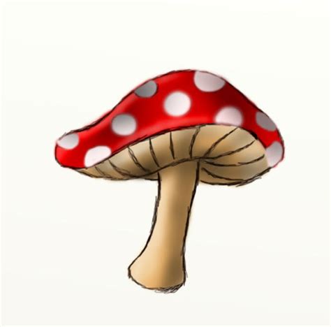 How to draw a mushroom - HubPages