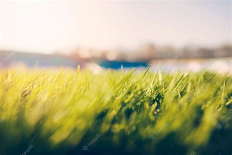 Premium Photo | Close-up grass on soccer field