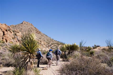 Joshua Tree Hikes (+ Other Things to do in Joshua Tree National Park)