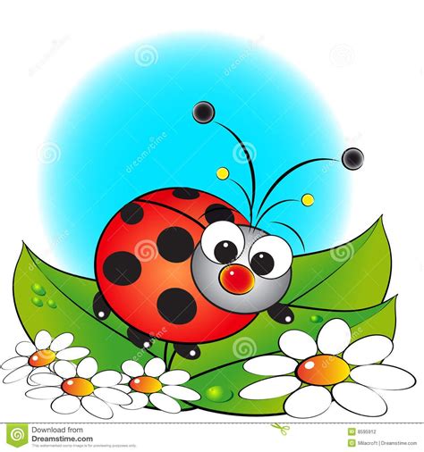 Se encontró en Google desde dreamstime.com Ladybug 2, Ladybug Cartoon, Ladybug Theme, Ladybug ...