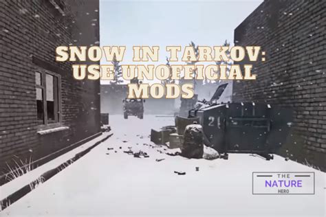 Snow In Tarkov: Use Unofficial Mods - The Nature Hero