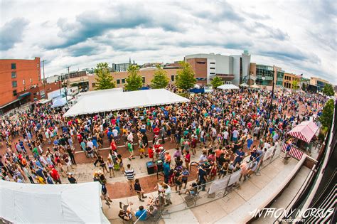 Top 10 summer music festivals in Michigan: The Local Spins List