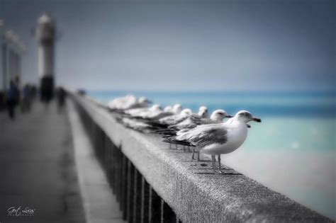 Top 9 Photo Spots at Blankenberge Beach in 2024