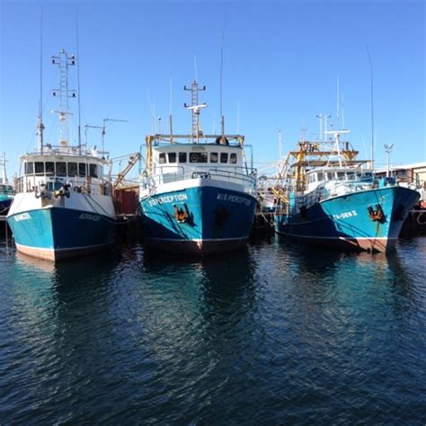 Fishing Boat Harbour, Fremantle WA